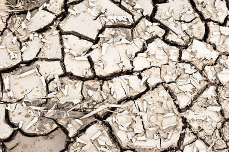 The cracked dry earth, drought,  dry riverbed, disaster