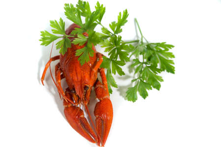 maco Boiled crayfish on isolate white background with greenの写真素材