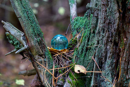 Concept of nature, autumn forest. Crystal blue ball on a wooden old stump with leaves and moss.の写真素材