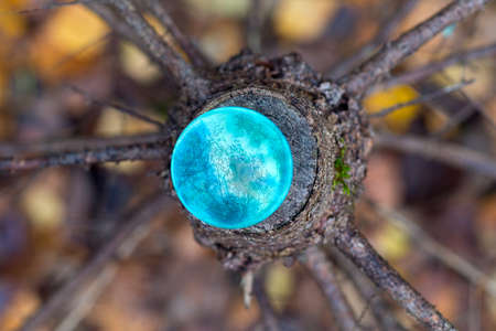 Concept of nature, autumn forest. Crystal blue ball on a wooden old stump with leaves and dry twigs. Abstract background top viewの写真素材
