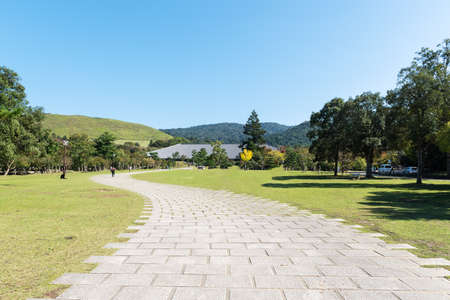 Landscape of Walkway or brick pathway in the park with blue sky for walk or ride a bicycle.