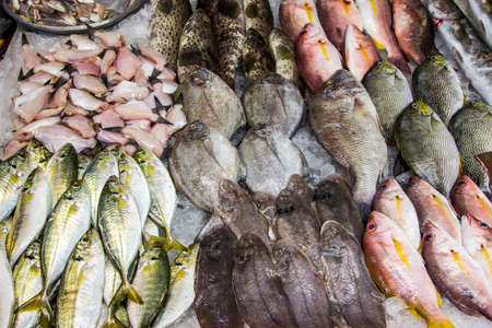 Pile of different fresh fish for sale on the fishmonger, outdoor seafood market.