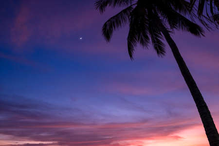 Beautiful Red and blue sunset on the background of the sea and sand and palm trees.の写真素材