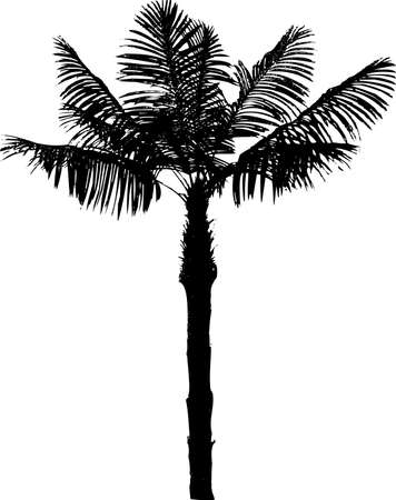 silhouette palm treeのイラスト素材