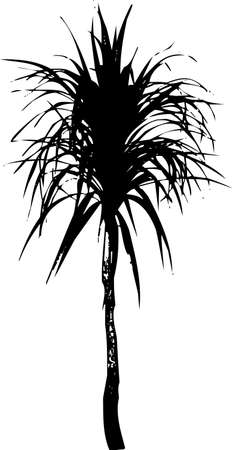 palm treeのイラスト素材