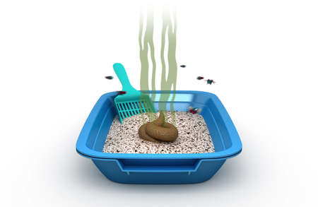 Dirty Cat Litter Box, 3d illustrationの写真素材
