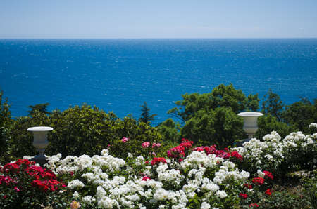 bright flowers on a background of blue sea and skyの写真素材
