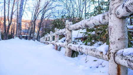 Wooden fence with heavy snowの写真素材