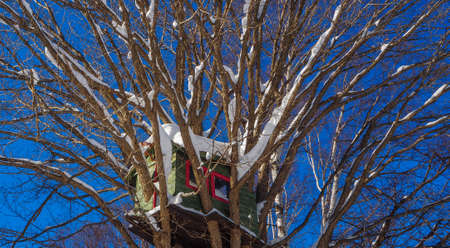 House on the tree  in the snow season.の写真素材