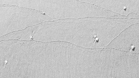 Nature pattern on sand beach with shell backgroundの写真素材