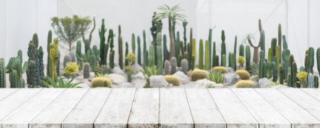 Empty wood table top and blurred green house with cactus and succulent in agricultural farms background - can used for display or montage your products.の写真素材