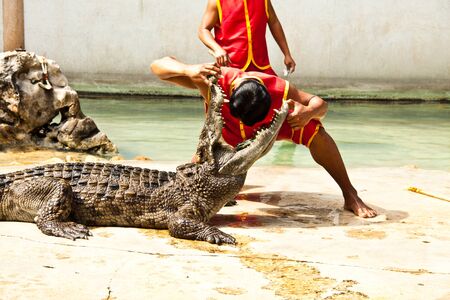 Courage to the crocodileのeditorial素材