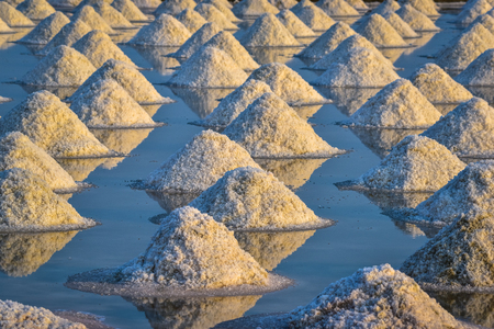 the salt field in thailandの写真素材