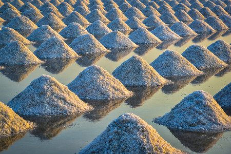 the salt field in thailandの写真素材