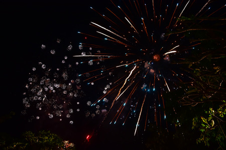 A beautiful fireworks display to celebrate the New Year.の写真素材