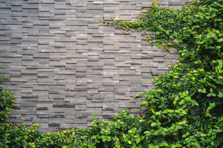 brick wall with green leaves background and space for text or imageの写真素材
