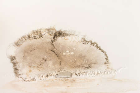 Water top floor leaks on the ceiling causing damage, peeling paint and moldyの写真素材