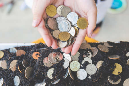 Little kid girl holding coins in hands with blurred background, coins in soil, growth conceptsの写真素材