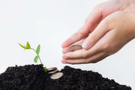 Little kid girl holding coins in hands with white background, human hand apply fertilizer young tree, growth conceptsの写真素材