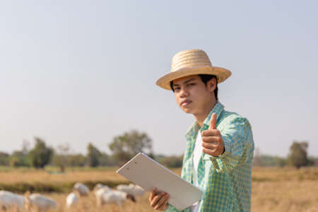 Young asian farmer man giving thumbs up with smiling and holding clipboard checklist with blurred goats eating grass in fieldの写真素材