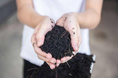 Little kid girl holding soil in hands with blurred background. growth conceptsの写真素材