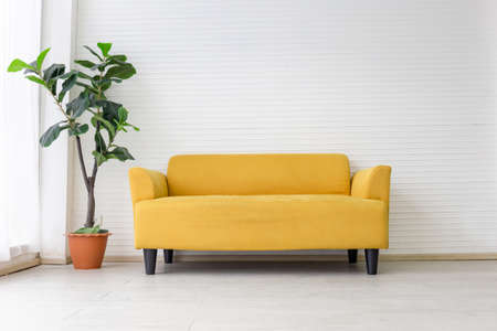White living room interior with modern yellow fabric sofa with empty white wall backgroundの写真素材