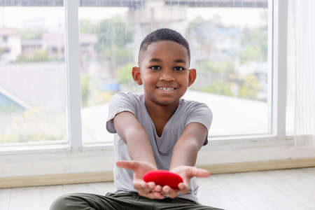 Smiling boy holding red heart shape in living room