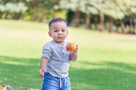 Little child boy with apple fruit in the park, Adorable toddler holding red apple looking to the cameraの写真素材