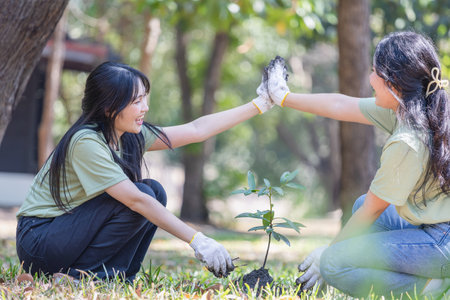 Female volunteer people team preparing to plant trees, Young woman team volunteer planting tree, female volunteer team in park for charity eventの写真素材