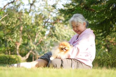 Senior Woman Enjoying a Sunny Day with Her Pomeranian Dog in the Park, Happy Elderly Lady Relaxing on Grass with Her Beloved Pet Pomeranianの写真素材