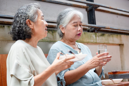 Senior Asian Friends Sharing Food and Conversation, Asia Women Enjoying Healthy Meal Together Outdoors with Friends, Happy Retirement Lifestyleの写真素材