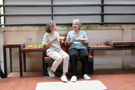 Two Senior Asian Women Enjoying a Healthy Outdoor Meal, Elderly Friends Sharing a Conversation and...