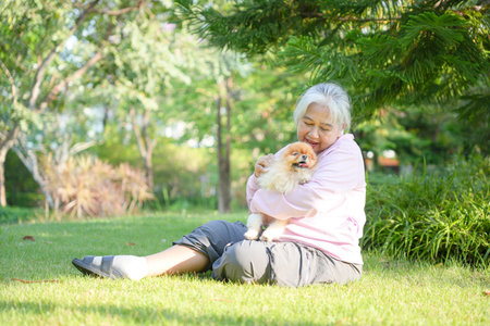 Senior Woman Hugging Dog in Park, Woman Enjoying with Her Pomeranian Dog in the Park, Happy Elderly Lady Relaxing on Grass with Dogの写真素材