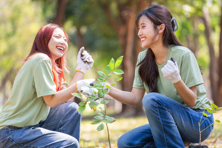 Young Asian Women Planting Tree in Park for Environmental Conservation, Female Volunteers Caring for Nature, Reforestation Effortの写真素材
