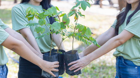 Young Volunteers Holding Saplings for Reforestation, Environmental Conservation, Group of People Preparing to Plant Trees for Green Environment Initiative, Hands Carrying Young Plants for Sustainable Futureの写真素材