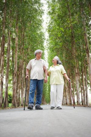 Happy senior couple enjoying a walk and nature, Asian seniors on a discovery walk in the woods, Elderly couple in a parkの写真素材