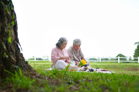 Elderly Couple Sitting on Picnic Blanket and Sharing Food in Green Park, Man and Woman Relaxing Outdoors with Picnic in Nature, Senior Couple Enjoying Leisure Time and Meal Together in Parkの写真素材