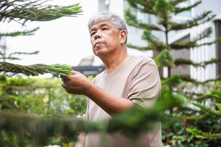Portrait of a thoughtful Asian senior man enjoying his garden, Senior man inspecting a tree branch...