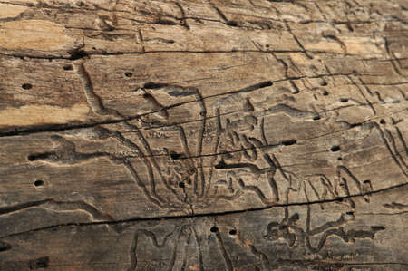 Old Thai Woodenの写真素材
