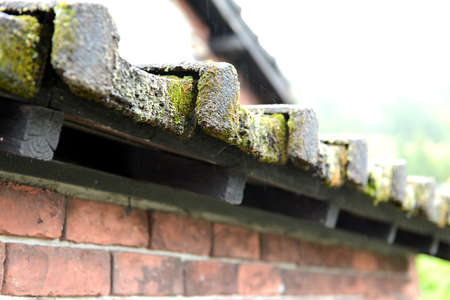 Old roof tiles in Okawachiyama Village, Japanの素材 [FY31058765157]