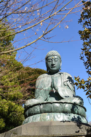 Big Buddha statue in Tenno-ji Temple - Yanaka, Tokyo Japanのeditorial素材