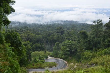 Green mountain forest landscape after raining, Misty mountain forest at Khao Yai national park...