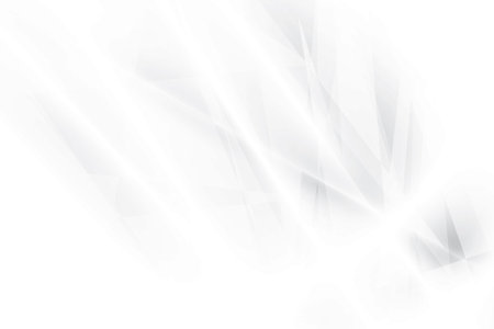 Abstract  white and gray color, modern design background with geometric shape. Vector illustration.のイラスト素材