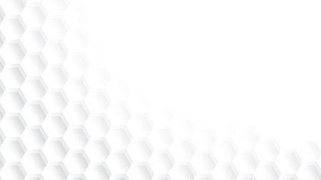 Abstract white and gray color background with geometric hexagonal shape. Vector illustration.のイラスト素材