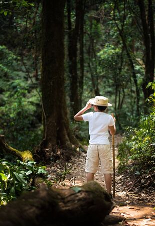 asian boy traveler binoculars birdwatching forest nature looking tree adventureの写真素材