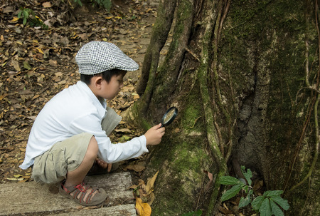 magnifying kid boy nature magnifier forest looking wood treeの写真素材