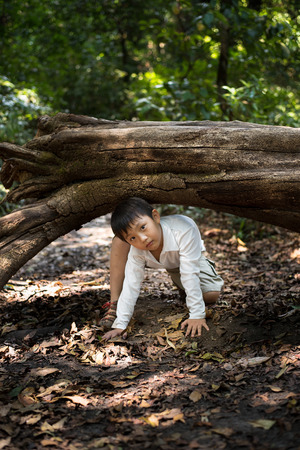 asian boy travel forest kid play adventure nature green fun cute treeの写真素材