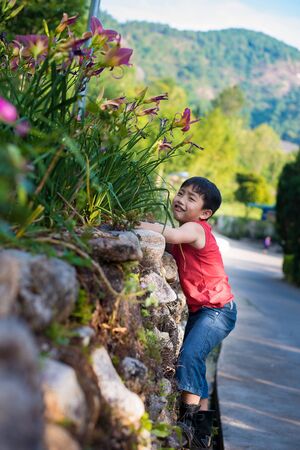 asian boy garden park stone green young happy cute kid play playing clamberの写真素材