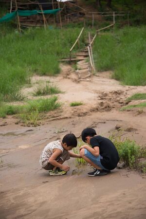 boy little sand interested nature kid play sitting brotherの写真素材