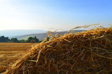 Single hay bale in Sussex farm field の写真素材
